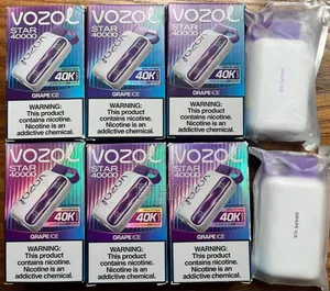 Exprience Vozol Star Grape Ice Flavour 40000 Puffs