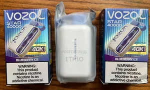 Expreience Vozol Star Blueberry Ice Vape 40000 Puffs