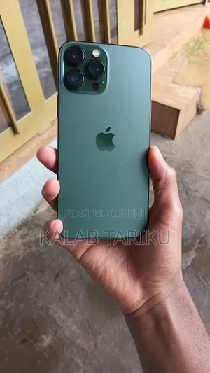 New Apple iPhone 13 Pro Max 256 GB Gray