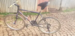 Phonex Bike