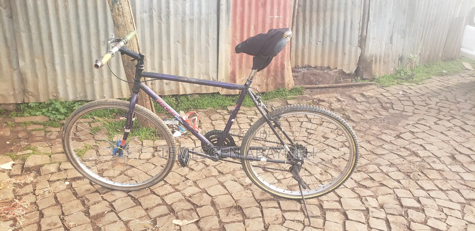 Phonex Bike
