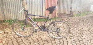 Phonex Bike