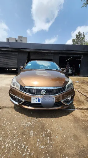 Suzuki Ciaz 2019 Brown