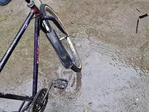 Phone X Bike