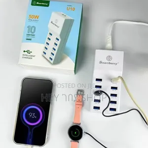 Smart Berry U10 50w Charger