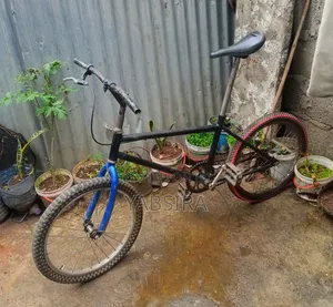 Number 20 Bicycle
