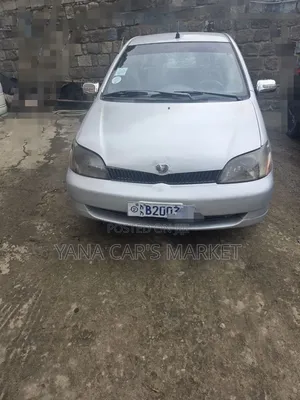 Toyota Platz 2001 Silver