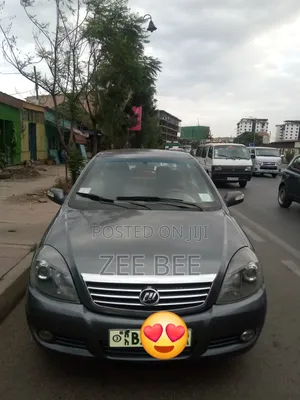 Lifan 520 2012 Gray