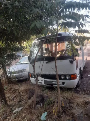 Toyota Coaster 2002 White