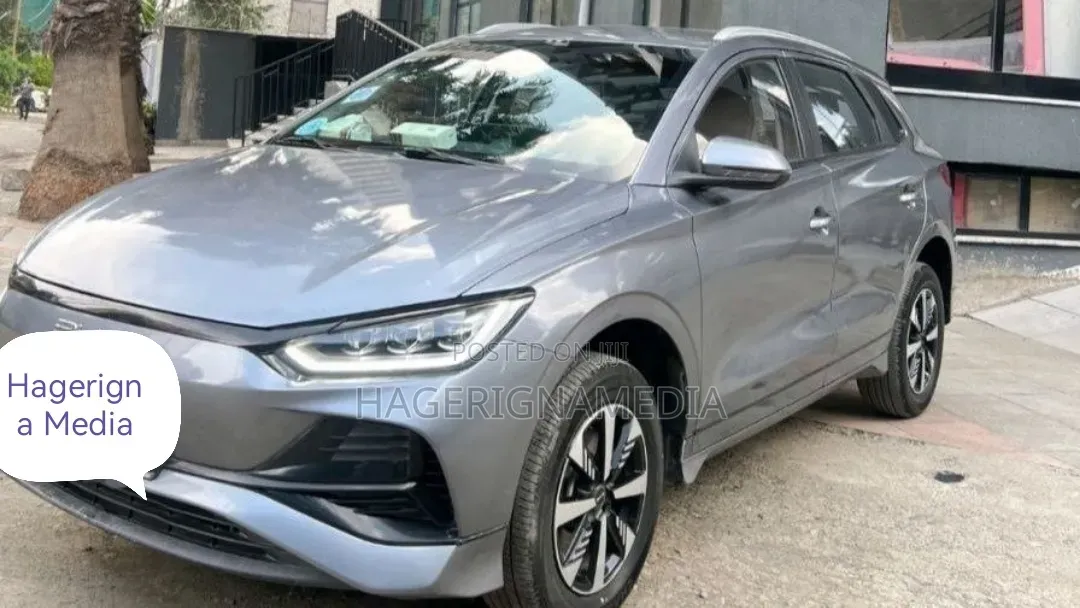 BYD E2 43 kWh 94 hp FWD 2024 Gray