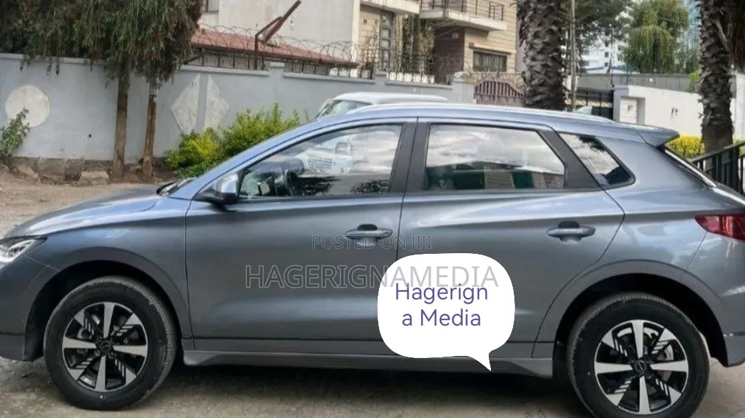 BYD E2 43 kWh 94 hp FWD 2024 Gray