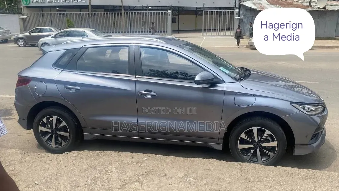 BYD E2 43 kWh 94 hp FWD 2024 Gray