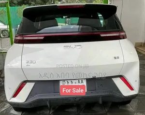 BYD Seagull 38 kWh FWD 2024 White