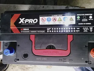 X Pro 90AH Deep Battery