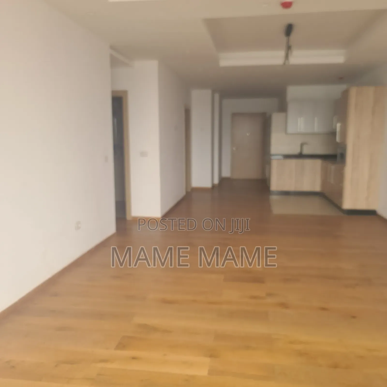 2bdrm Apartment in Addis Abeba, Bole for rent