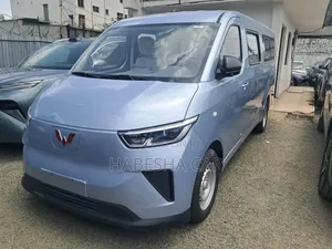 New Wuling Air EV 2025