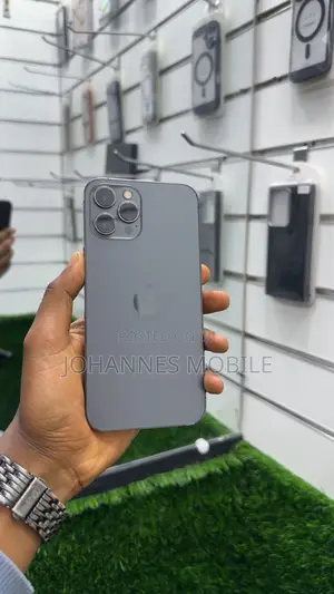 Apple iPhone 13 Pro Max 256 GB Gray