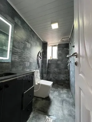 Furnished 2bdrm Apartment in Yeka for sale