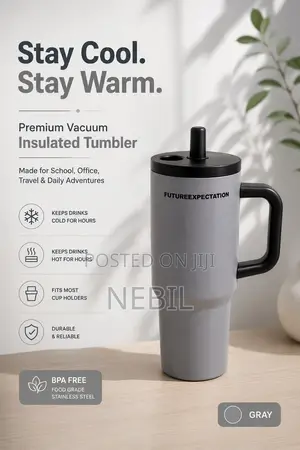 FutureSip Stainless Steel Insulated Water Bottle With Handle Straw
