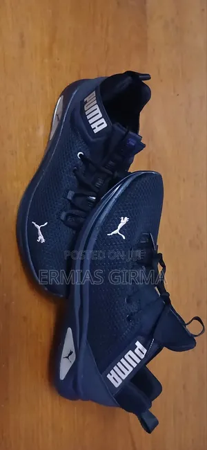 Brand New Puma Shoe