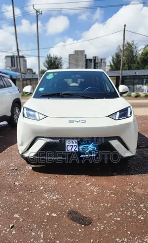 BYD Seagull 2025