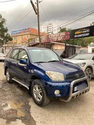 Toyota RAV4 2004 Purple