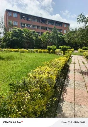Furnished 1bdrm Condo in Kibert Zewdie, Bole for sale