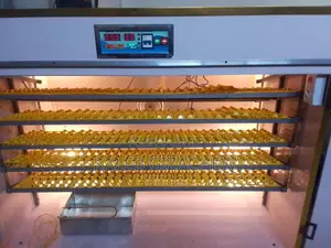 Incubator Machine