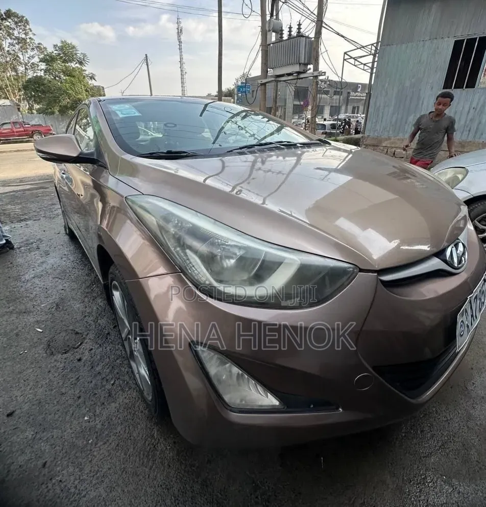 Hyundai Elantra 2014 Brown