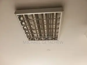 Fluorescent Light
