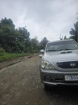 Hyundai Terracan 2.5 2002 Silver