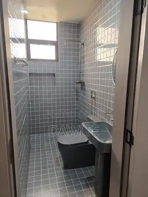 Furnished 3bdrm Apartment in የግል አፓርታማ, Bole for sale
