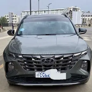 Hyundai Tucson 2022 Green