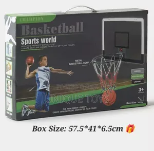 Champion Basketball Hoop Set