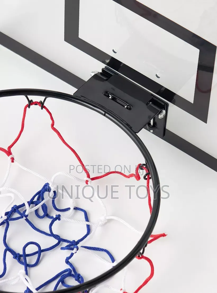 Champion Basketball Hoop Set