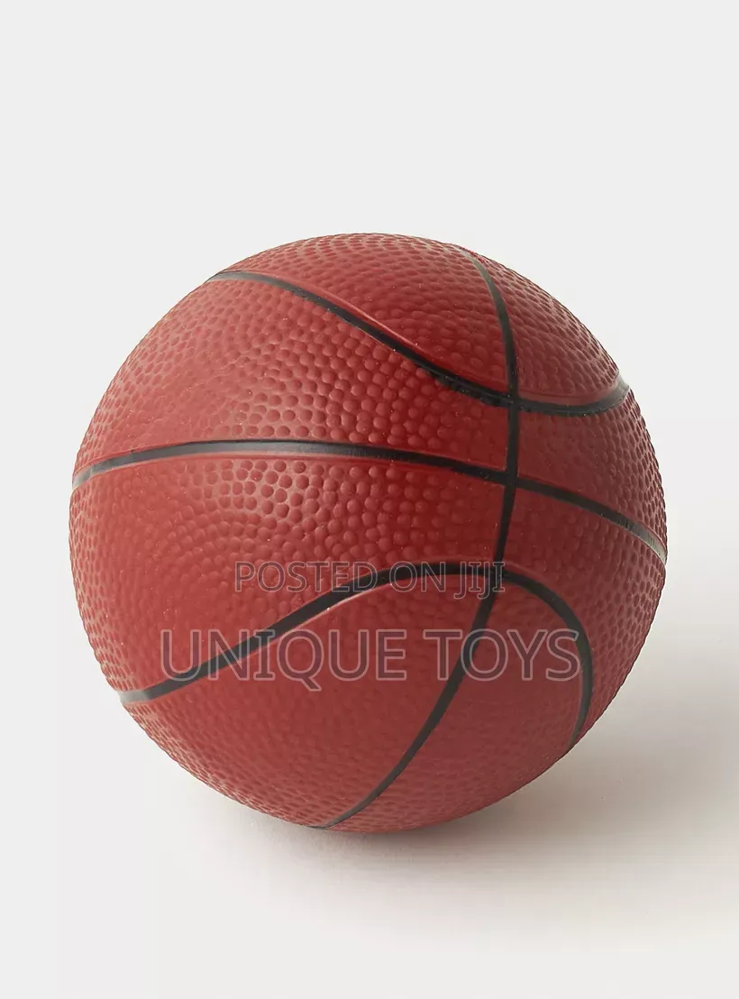 Champion Basketball Hoop Set