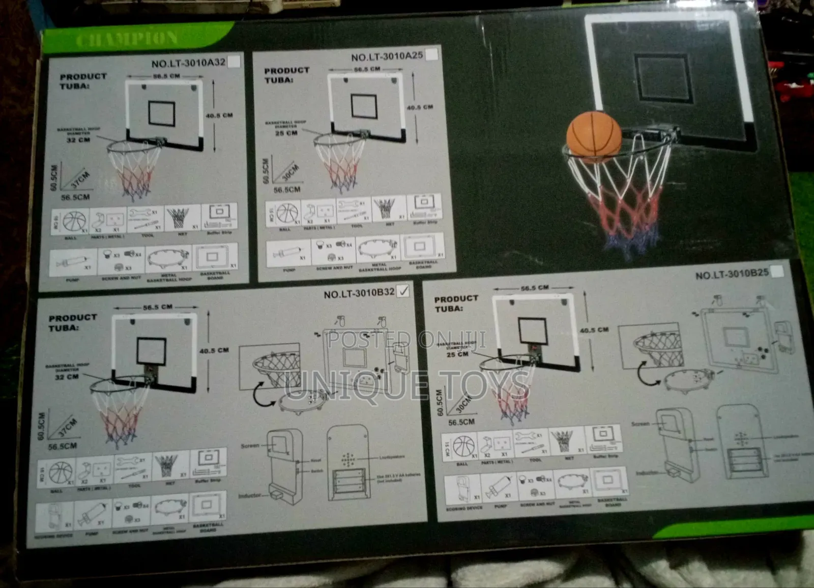 Champion Basketball Hoop Set