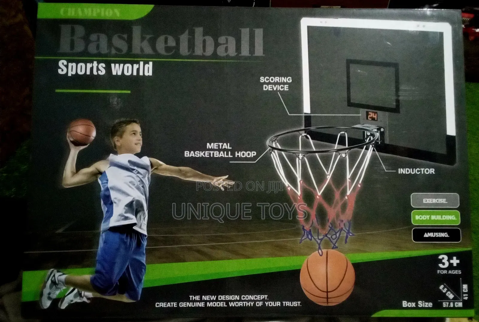 Champion Basketball Hoop Set