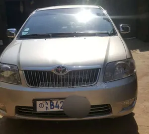 Toyota Corolla 2007 Gold