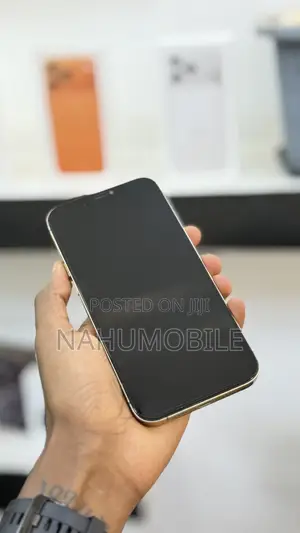 Apple iPhone 12 Pro Max 256 GB Gold
