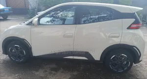 BYD Seagull 2024 Silver