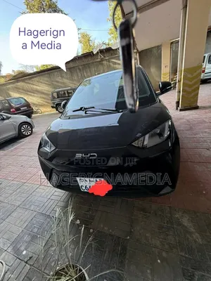 BYD Seagull 2024 Black