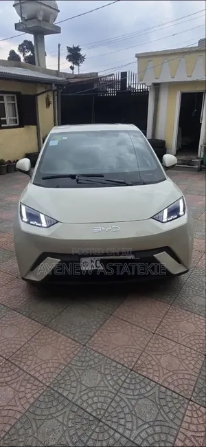BYD Seagull 2025 Silver