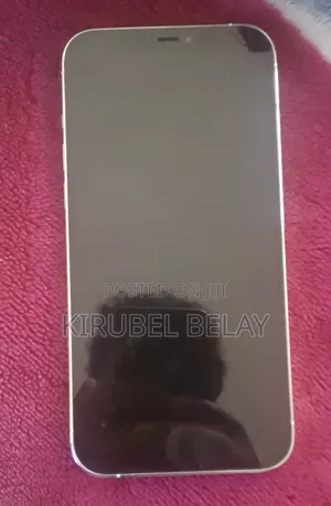 Apple iPhone 12 Pro Max 256 GB White