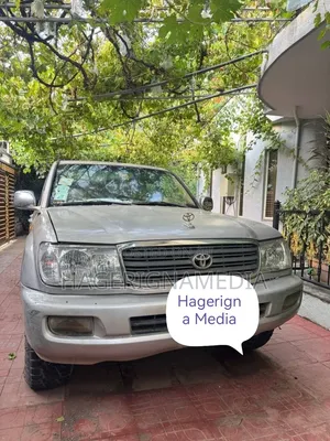 Toyota Land Cruiser 2003 Gray