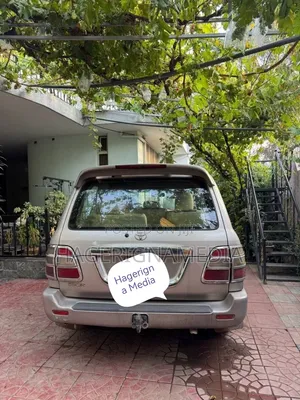 Toyota Land Cruiser 2003 Gray