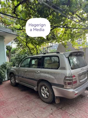 Toyota Land Cruiser 2003 Gray