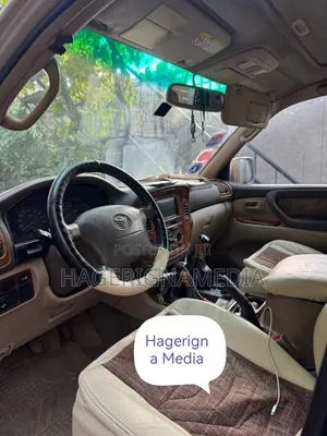 Toyota Land Cruiser 2003 Gray