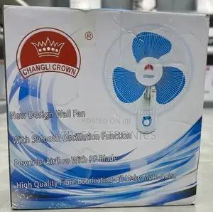 Changli Crown Wall Fan, Designed for Powerful