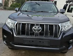 Toyota Land Cruiser 2020 Gray
